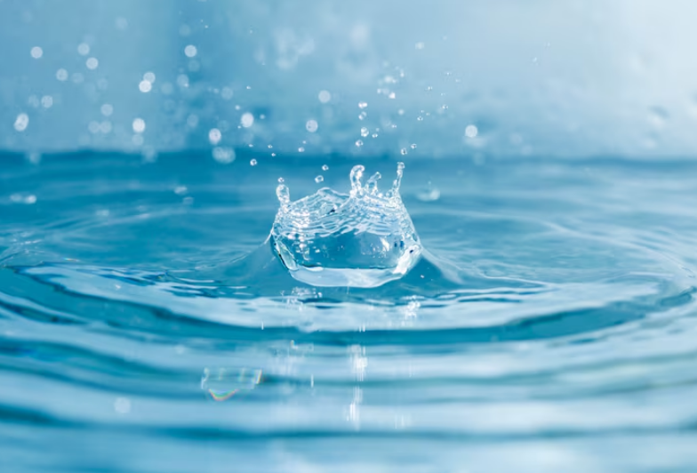 Обезвоживание осадков сточных вод: современные технологии и оборудование