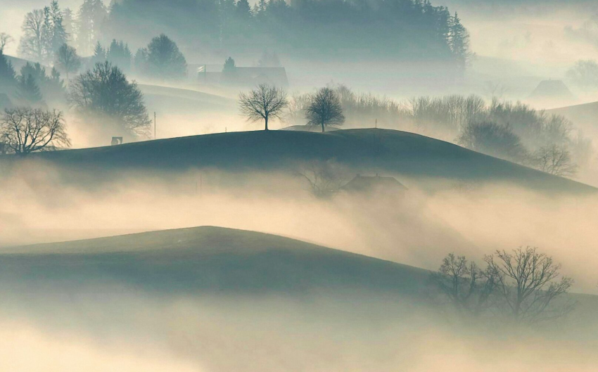 Получение воды из тумана улучшит водоснабжение в Чили
