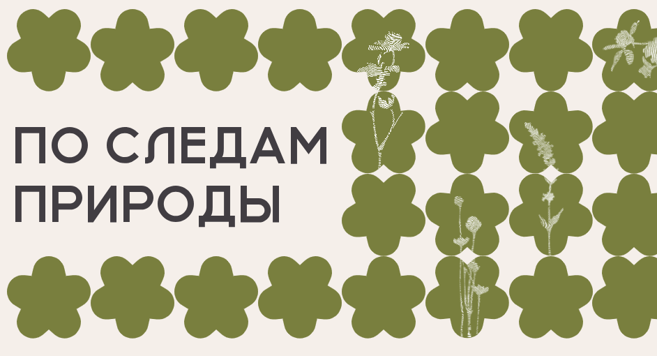В Нижегородской области организуют новые экотропы