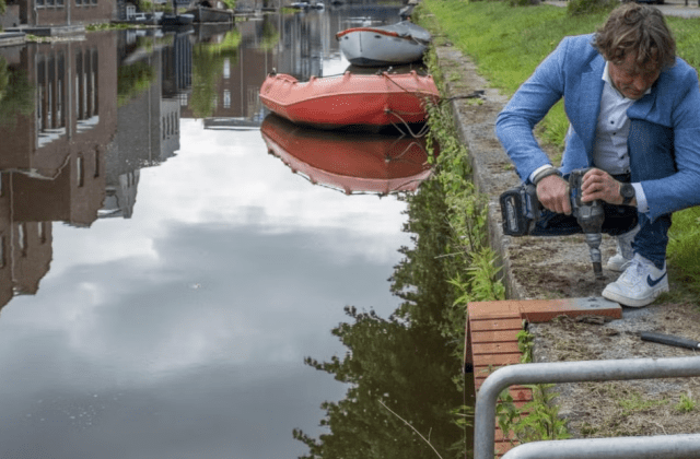 как спасти кошек