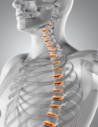 Лечение позвоночника и суставов: восстанови свой «стержень» и «шарниры»